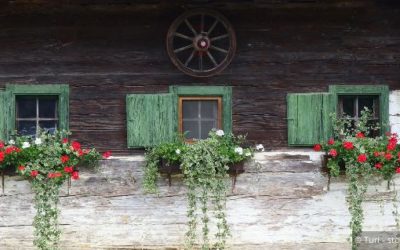 Ausfallsbonus für Zimmervermieter und Wein-, Most- und Almausschank