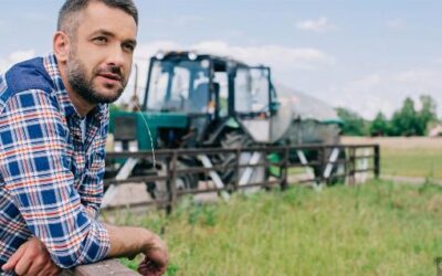 Land- und Forstwirtschaft: Wann liegt ein Gewerbebetrieb vor?